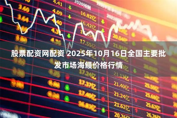 股票配资网配资 2025年10月16日全国主要批发市场海鳗价格行情