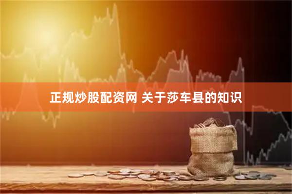 正规炒股配资网 关于莎车县的知识